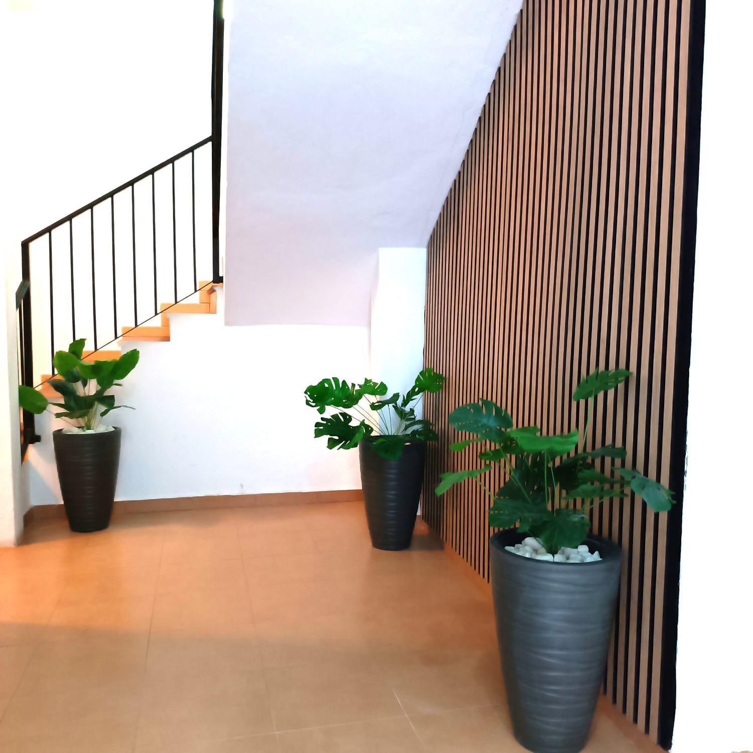 Apartamentos Calle Nueva 马拉加 外观 照片